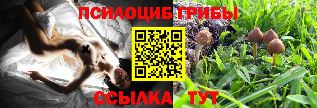 Псилоцибиновые грибы мухоморы Раменское