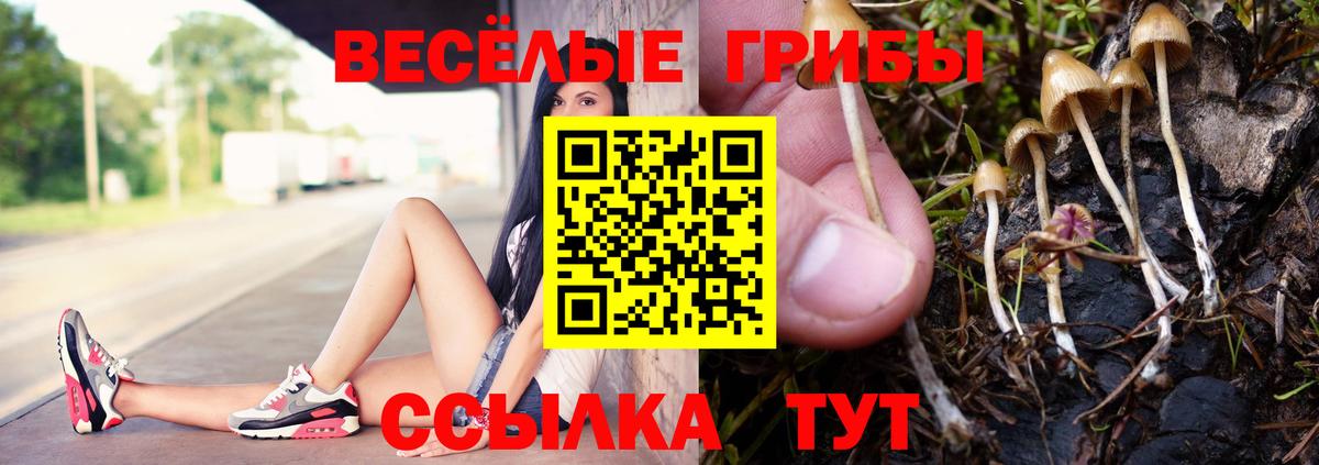 Галлюциногенные грибы Psilocybine cubensis  Вход с VPN  Раменское 